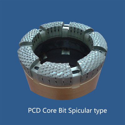 Peu de noyau imbibé de forage géotechnique de Diamond Core Bits PCD